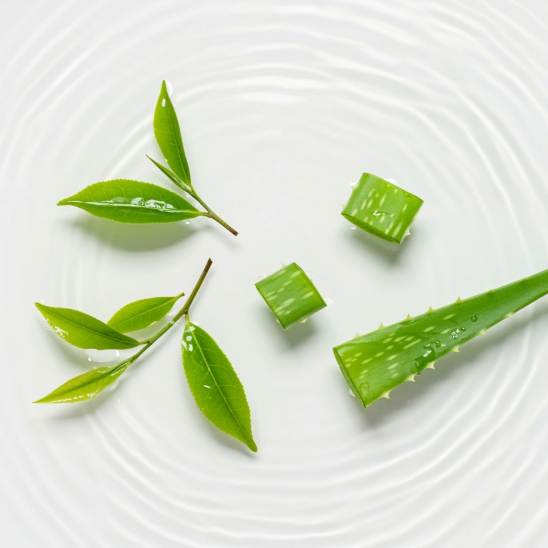 Aloe vera